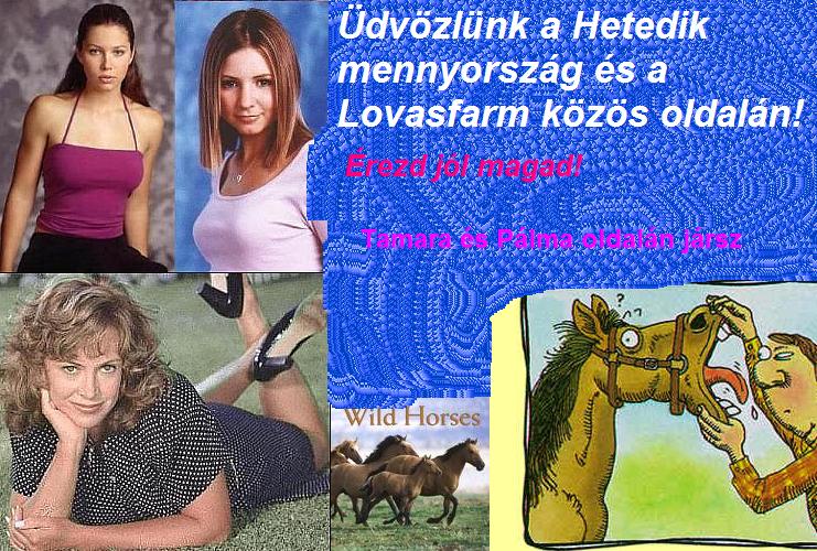 7th Heaven-Horsefarm